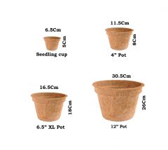 Coconut Coir Pots