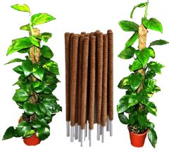 Coco Coir Moss Poles plant support 100% Biodegradable