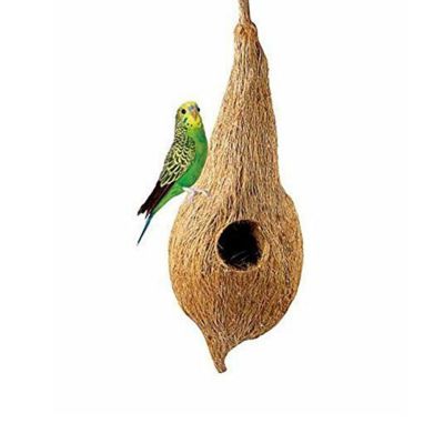 Coir birds nest Weaver design