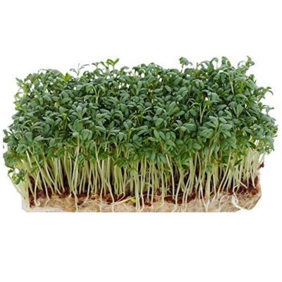 microgreen grow mat