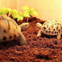 Coco Coir Reptile Pet Fine Soil Bedding Substrate 50 Litres