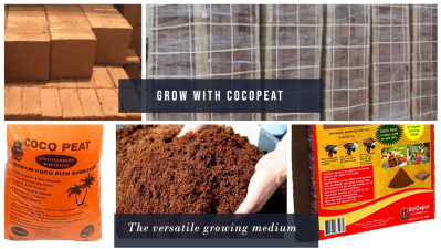 Introducing Our Eco-Friendly Alternative to Peat Moss: Sustainable Cocopeat Growing Media