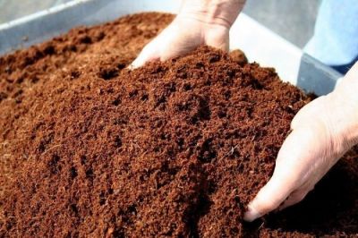 Coco peat 5kg block Makes upto 65 litres coconut Fibre Potting Soil compost 