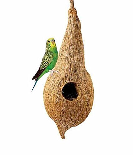 Fhiny 4 PCS Handmade Woven Bird Spawning Nest with Coconut Fiber Liner Flat Base Straw Bird Nest Bed Hatch Roosting for Dove Pigeon Parrot Turtle Quail Macaw Cuckoo Sparrow 